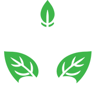 NaturalTea